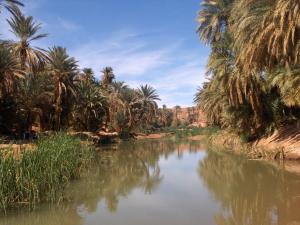 الواحات الرائعة لمنطقة تيوت