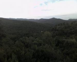 Les vertes Forêts de Oued Zehour (Wiaya de Skikda)