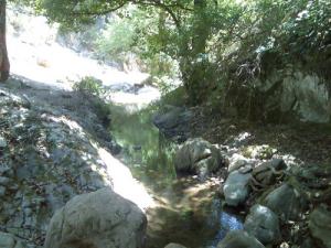 Un petit cours d'eau dans la forêt de Oued Zehour