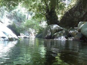 Une rivière de Oued Zehour (Wilaya de Skikda)