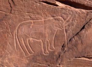 رسومات ما قبل تاريخية بجبل مختر غرب  تيوت