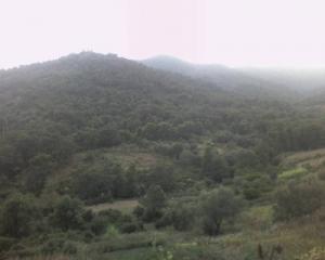 Les montagnes verdoyantes de Oued Zhour (Wilaya de Skikda)