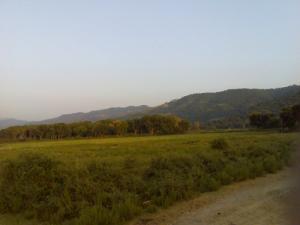 Un champ agricole à Oued Zhour