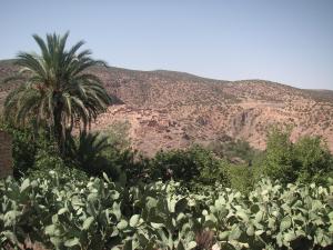 منظر طبيعي ببلدية  معفة