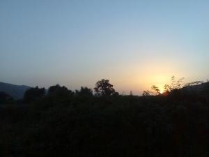 Coucher de Soleil sur la forêt de Oued Zhour