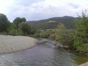 Une rivière traversant la forêt de Oued Zhour