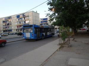 Une allée de Skikda