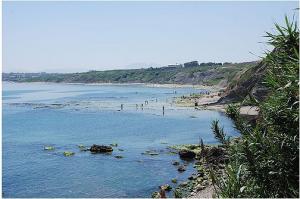 منظر لشاطئ  جون بارت