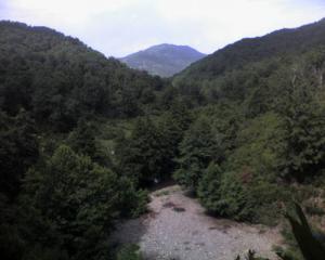 La forêt de Oued Zehour (Wilaya de Skikda)
