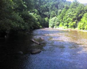 Une rivière longeant la forêt de Oued Zehour