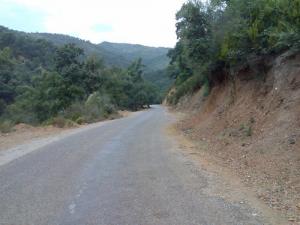 Sur la route de Oued Zehour