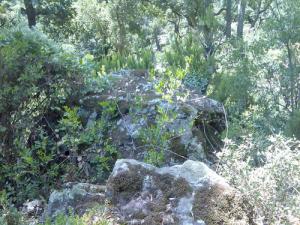 Paysage de Oued Zehour