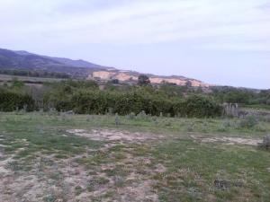 Paysage de la forêt Louta