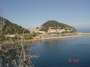 Collo,Le Port de pêche (Skikda)