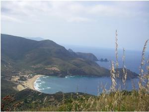 صورة من شاطئ  واد بوقراط  بولاية عنابة