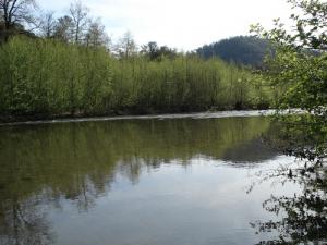 Oued R'Mila (Commune de Oued Zhour)