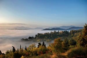 Paysage Féerique de la Forêt de Zerdaza (Wilaya de Skikda)