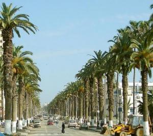 Un boulevard de Skikda