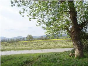 منظر طبيعي مأخوذ بالقرب من بلدية جندل سعدي محمد و عين شرشار (ولاية سكيكدة)