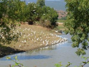 Spectacle Naturel aux alentours de Skikda