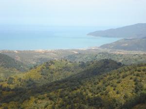 Plage et Forêt de Oued ZHour
