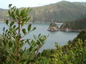 Côte de Ras Kharas (Wilaya de Skikda)