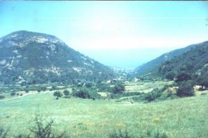 Paysage de Messasskha (Wilaya de Skikda)
