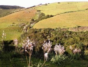 Paysage de la commune de Beni Oulbane