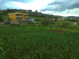 Aux abords de Bouyaghil