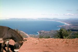 Filfilla_Plage Guerbess 1965