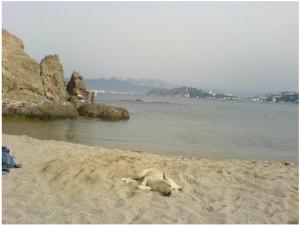 صورة لشاطئ  وادي الأسود