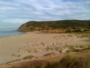 Les Platanes de Righa