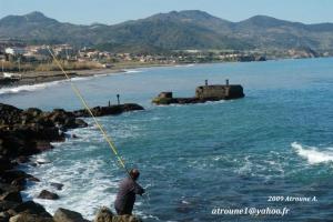 الميناء القديم لبلدية ڨوراية