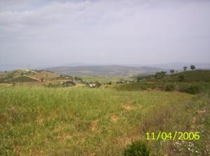 Prairies aux alentours de Skikda