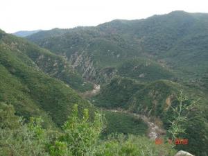 Paysage de Oued Eddamouss