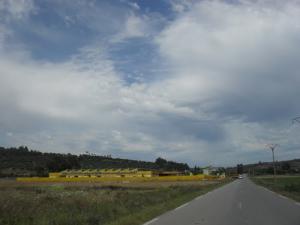 Route dans la périphérie de Ramdane Djamel (Wilaya de Skikda)