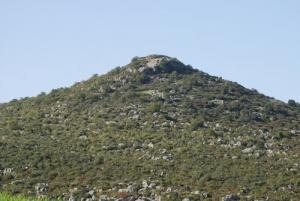 Une Montagne Verdoyante aux alentours de Skikda