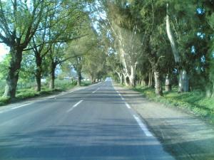 Entrée du village nommé Ramdane Djamel