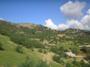 Paysage de Zerdaza (Wilaya de Skikda)