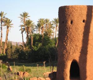 صورة لبرج قديم بضواحي  تيوت