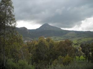 Verdure des Montagnes de Skikda à l'Approche du Printemps