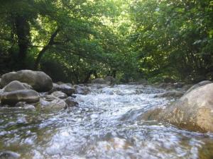 Cours d'Eau traversant la Forêt de Bougaroun (Wilaya de Skikda)