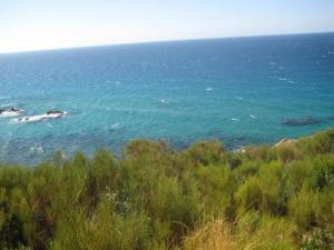 Beauté de la côte de Damous