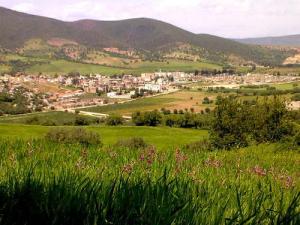 Verdure et Urbanisme se conjuguent bien dans la commune d'Es Sebt