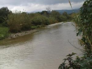 Une Rivière traversant les paysages de Skikda