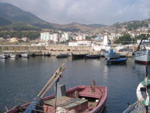 Vue d'ensemble sur le port de Chetaibi