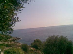 Bleu de Mer à Collo