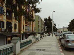 Une Allée de la cité d'El Harrouch