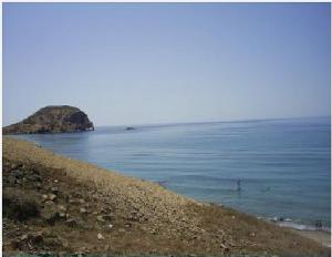 منظر من شاطئ 