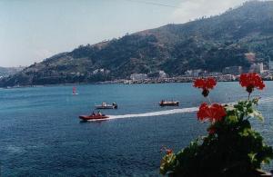 صورة من شاطئ 